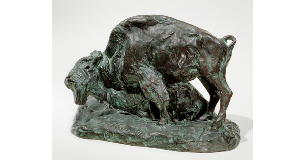 A bronze sculpture of a bison with his head and front leg lowered toward the ground.