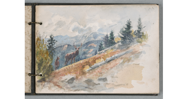 A watercolor sketch in a ringed notebook of two elk on a mountainside.