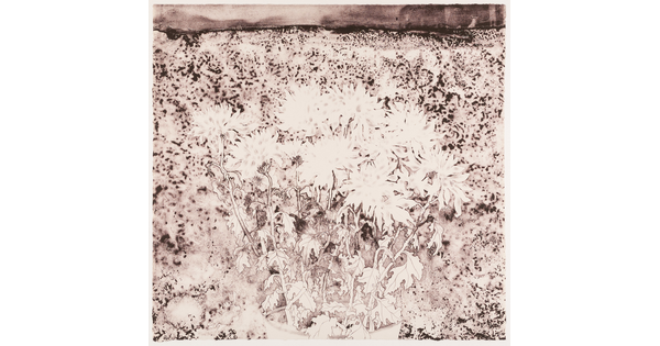 An abstract black-and-white print of a field of blooming chrysanthemums.