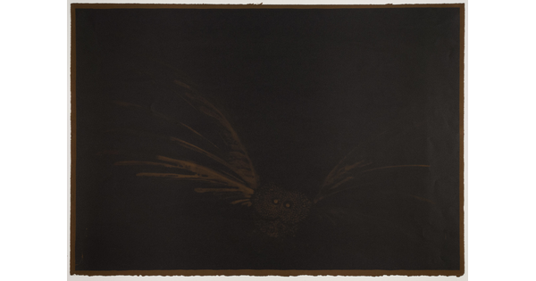 A print with a solid black background and the faint shape of a brown owl flying toward the viewer.