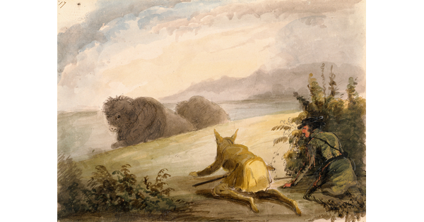 A watercolor of two men crouched on the ground amongst shrubs, one wearing a wolf hide and crawling toward two bison laying in the grass.