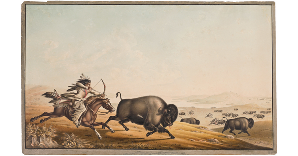 A watercolor of a herd of bison running in a field from Native Americans on horseback hunting with a bows and arrows.