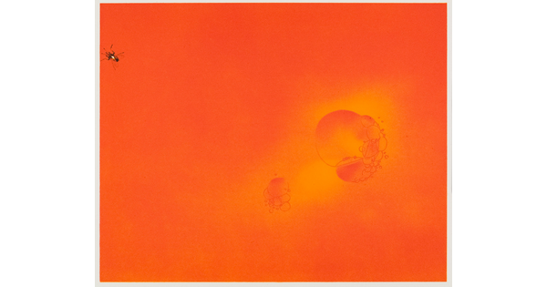 A color print in bright orange of two clusters of bubbles at the center right and a small black fly in the upper left corner.