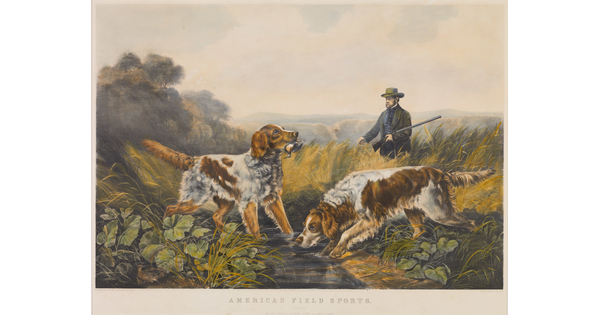 A color print of two hunting dogs in a stream with a hunter in the field behind them.