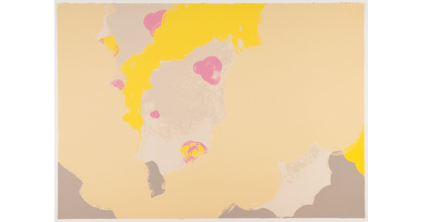 An abstract color print with organic bubble-like shapes in tan, pink, and yellow.