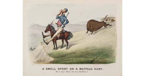 A color print of a White man sitting atop a miniature horse, oblivious to a herd of bison charging toward him in the background.