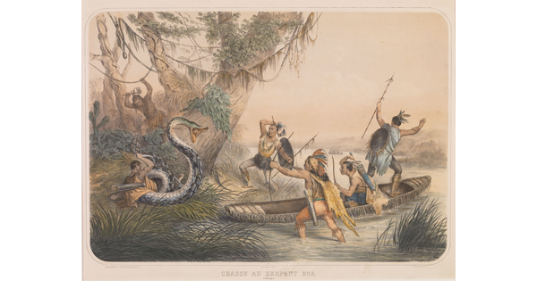 A color print of Indigenous people, some in a canoe and some on the shore, shooting bows and arrows at a large snake with its mouth open that is coiled around a person.