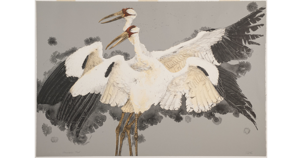 A color print of two large white birds with red faces, long pointy beaks, and outstretched black-tipped wings.