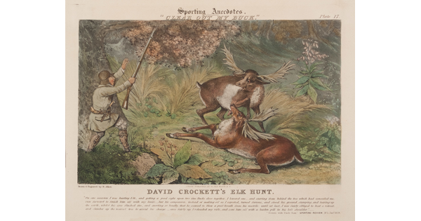 A color print of a White man wearing hunting gear and holding a rifle as he approaches two elk, one lying down, in a forest.