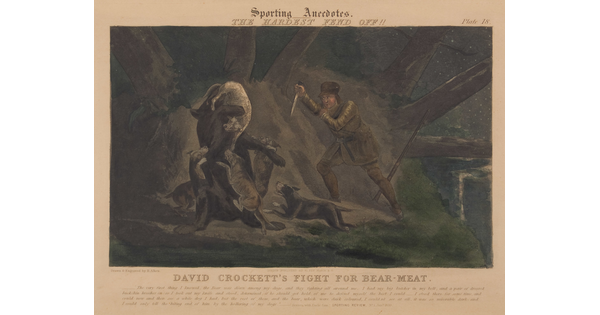 A color print of a White man in hunting clothing lunging with a knife toward a bear that is being attacked by dogs.