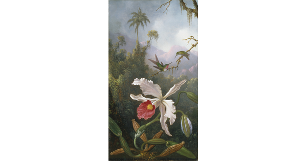 An oil painting of two hummingbirds on a twig above a white orchid in a jungle setting.