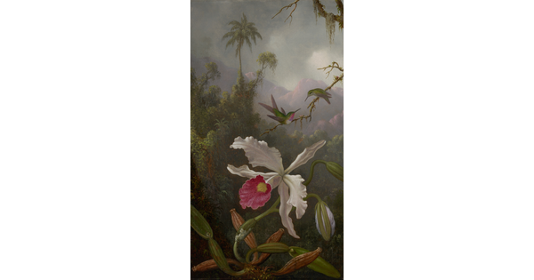 An oil painting of two hummingbirds on a twig above a white orchid in a jungle setting.