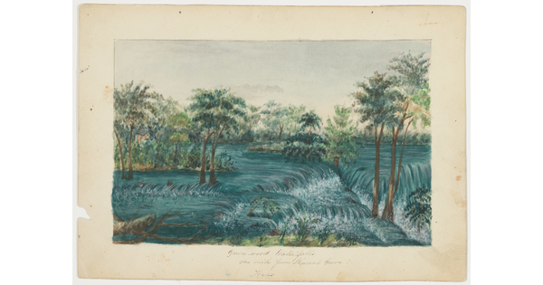 A landscape watercolor with lots trees surrounded by low, overlapping waterfalls.