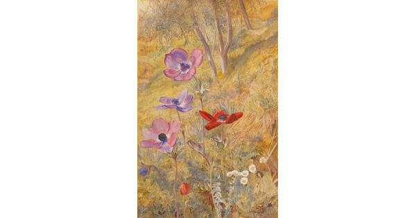 A watercolor of red and purple flowers blooming on a hillside.
