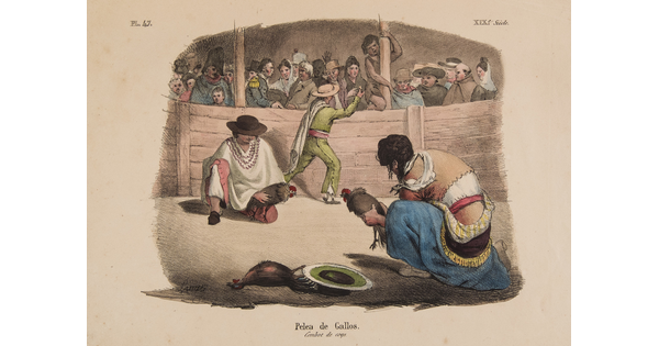 A color print of two figures holding chickens preparing to fight next to a dead chicken and onlookers in the background.