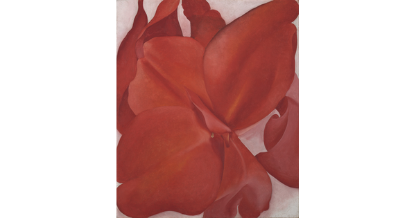 An oil painting of an extreme close up, abstracted view of a red flower.