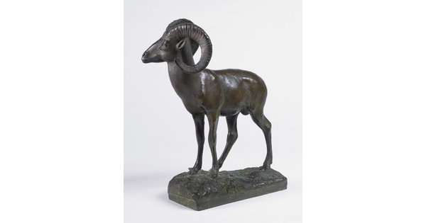 A bronze sculpture of a bighorn sheep.