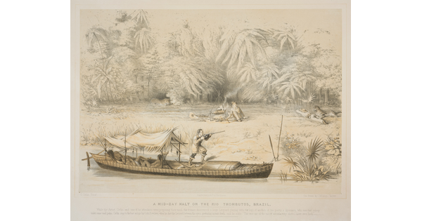 A color print of a White man standing on a boat in a river pointing a rifle at a leopard that has attacked a person on the riverbank; a White man roasting a pig over a fire watches as another leopard lurks in the trees.