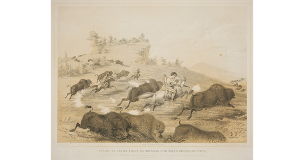 A color print of a White man on horseback shooting a revolver at a running bison in a herd; in the background, Native Americans on horseback use arrows and spears to hunt bison.