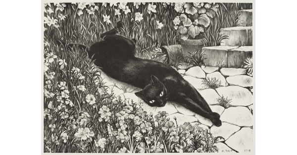 A black-and-white print of a black cat lying stretched out on a stone path surrounded by flowers.