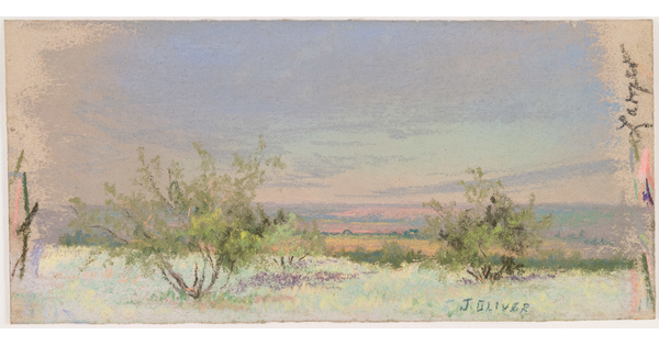 A colorful pastel drawing of mesquite trees in a landscape.