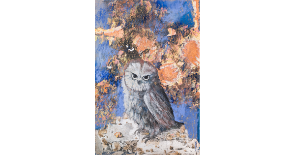 A pastel drawing of an owl looking directly at the viewer with an abstract, multicolor background.