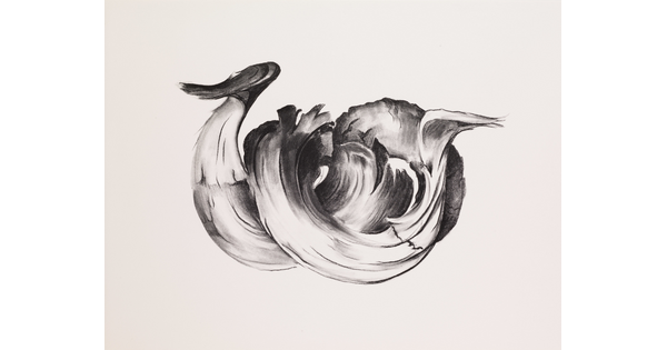 An abstract black-and-white print of animal horns.<br />