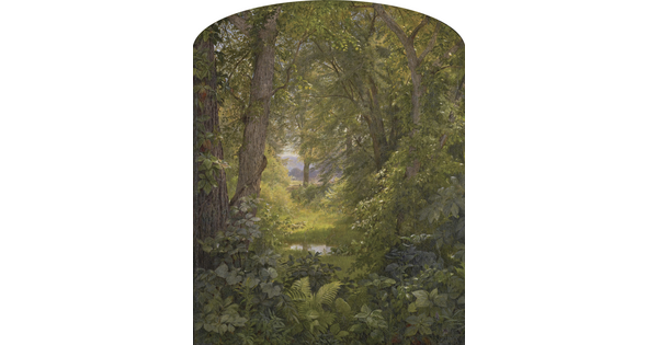 An oil painting of a lush green forest with a variety of plants in the foreground and tall trees in the distance.