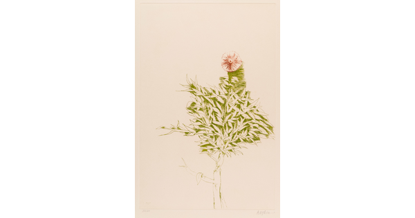 A color print of a single red flower at the top of lots of small, green leaves.