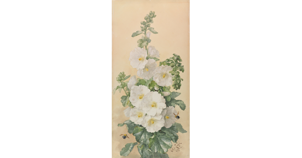 A vertically-oriented watercolor of a tall plant with large white flowers and bees hovering nearby.