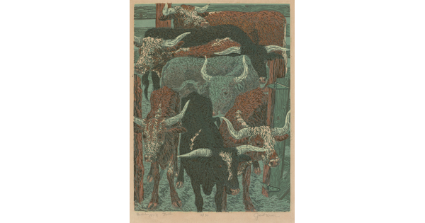 A color print of black, brown-and-white, and gray longhorn bulls in a pen.