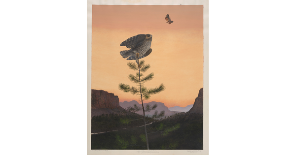 A watercolor of an owl perched atop a tall, thin tree looking at a moth in a mountainous terrain at sunset.