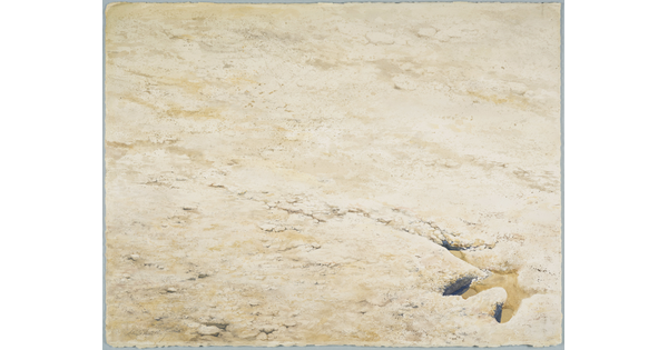 A watercolor painting of a flat, rocky landscape with an animal footprint in the bottom right corner.