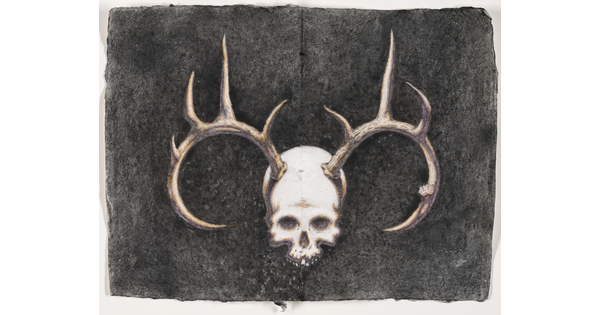 A drawing of a human skull, antlers coming out of the top, mounted on a wall.