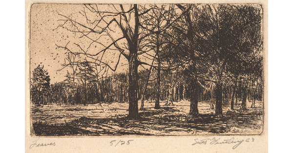 A black-and-white print on sepia-toned paper of sketch-like trees in a forest, some without leaves.