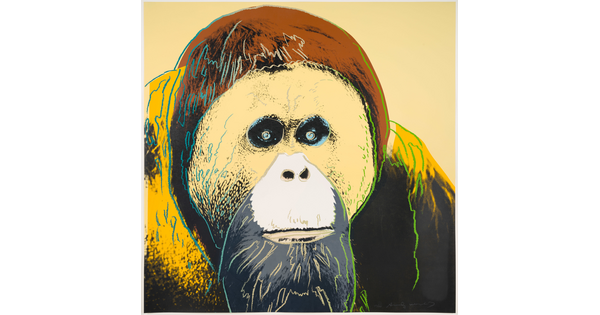 A color print of an orangutan in black, yellow, beige, and brown with drawn lines along the facial features.