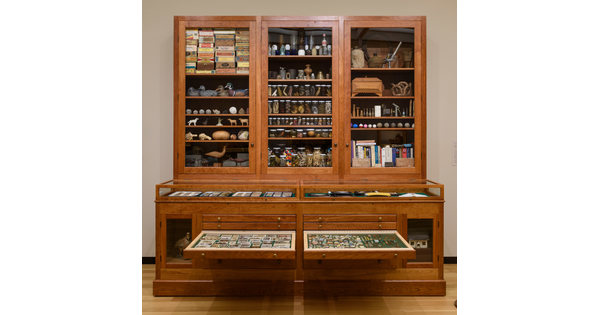 A large wooden cabinet with drawers on the bottom half and glass-fronted cabinets above, all filled with random objects.