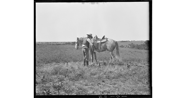 A black-and-white image of a cowboy standing in a field next to his horse adjusting the saddle.