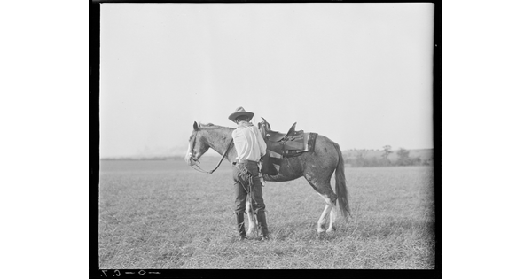 A black-and-white image of a cowboy standing in a field next to his horse adjusting the saddle.