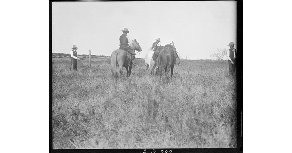 A black-and-white image of a couple of cowboys on horseback and two standing in a grassy field.