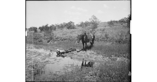 A black-and-white image of a cowboy lying on his stomach at the bank of a stream drinking water as his horse stands behind him.