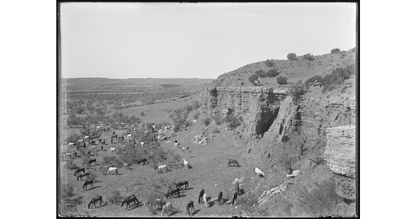 A black-and-white image of two cowboys on horseback on a cliff overlooking a field of grazing horses.