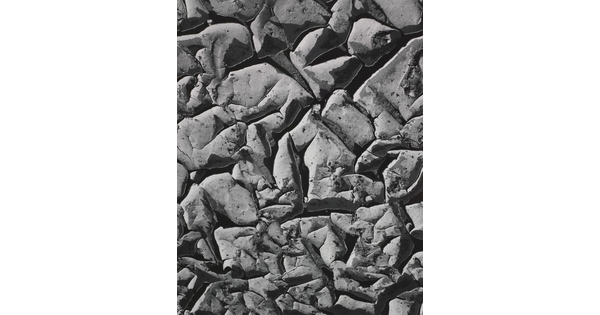 A black-and-white close-up photograph of dried mud that has a very wrinkly, textured surface.