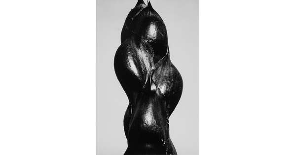 A close-up black-and-white photograph of the dark stem and buds of a plant.