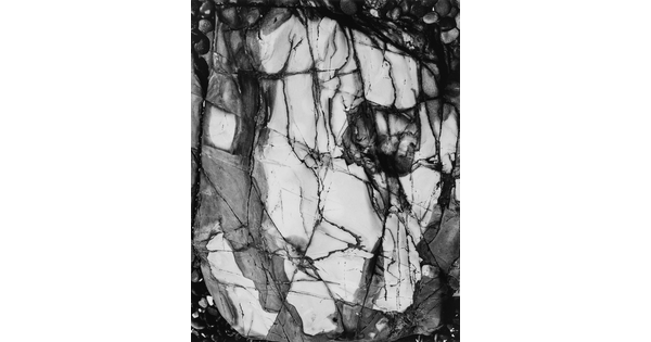 A black-and-white close-up photograph of a white rock with dark lines and cracks running through it.