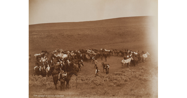 A sepia-toned photograph of a herd of unsaddled horses and several cowboys with their saddled horses.