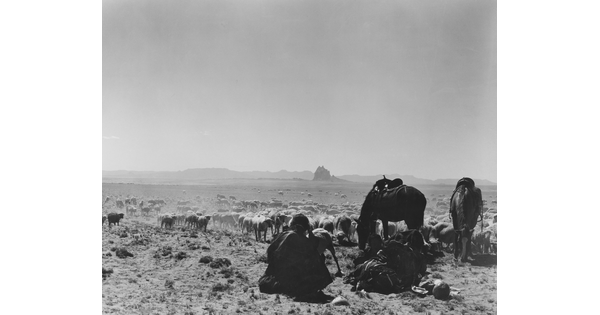 A black-and-white photograph of a man seated on the ground as two saddled horses graze with a herd of sheep on a plain with mountains in the distance.