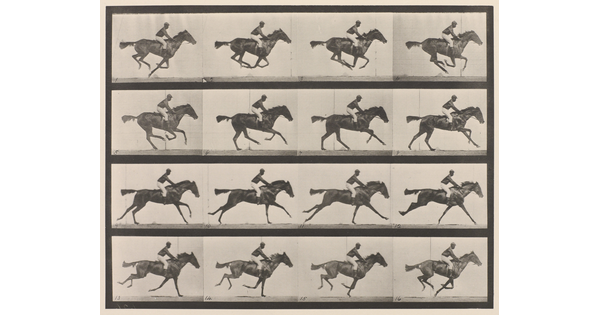 A series of black-and-white photographs of a jockey riding a running horse.