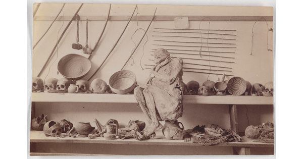 A black-and-white photograph of human skulls, bones, pottery, and a mummified person sitting on shelves.