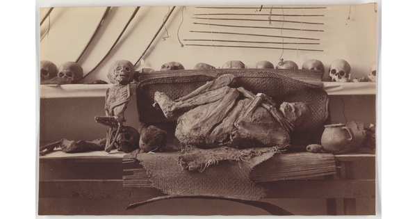 A black-and-white photograph of a small mummy and a larger one curled in fetal position laying on burlap surrounded by shelves of human skulls.